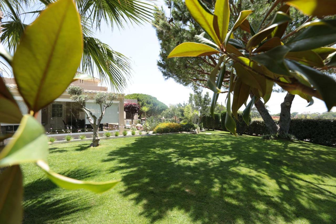 Quinta Do Pinheiro Manso - Holidays Villa - Marinha Beach Carvoeiro  Extérieur photo