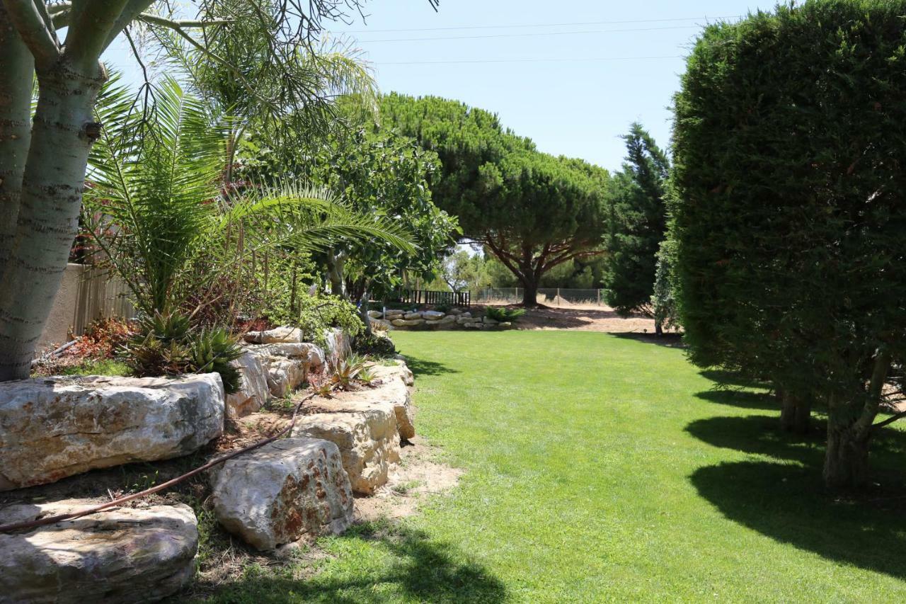 Quinta Do Pinheiro Manso - Holidays Villa - Marinha Beach Carvoeiro  Extérieur photo