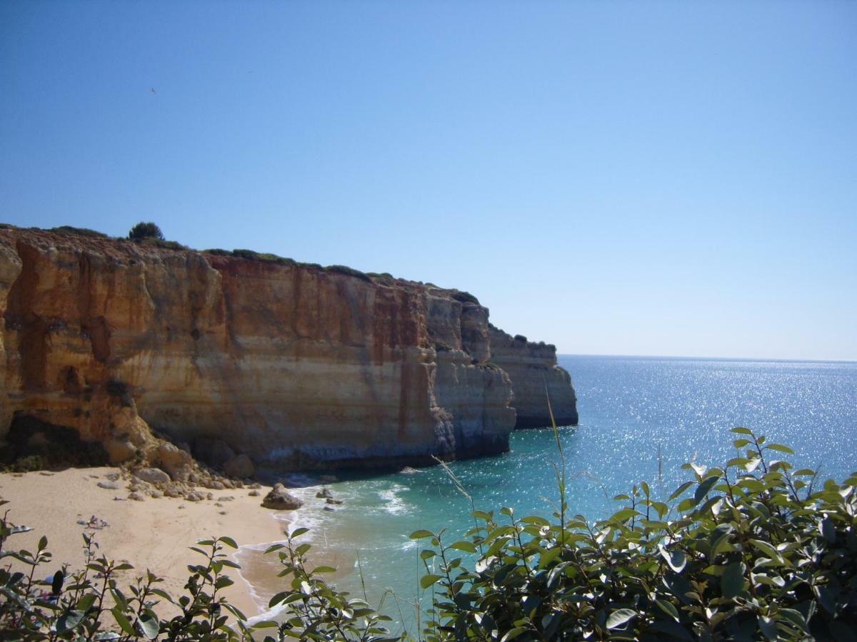 Quinta Do Pinheiro Manso - Holidays Villa - Marinha Beach Carvoeiro  Extérieur photo